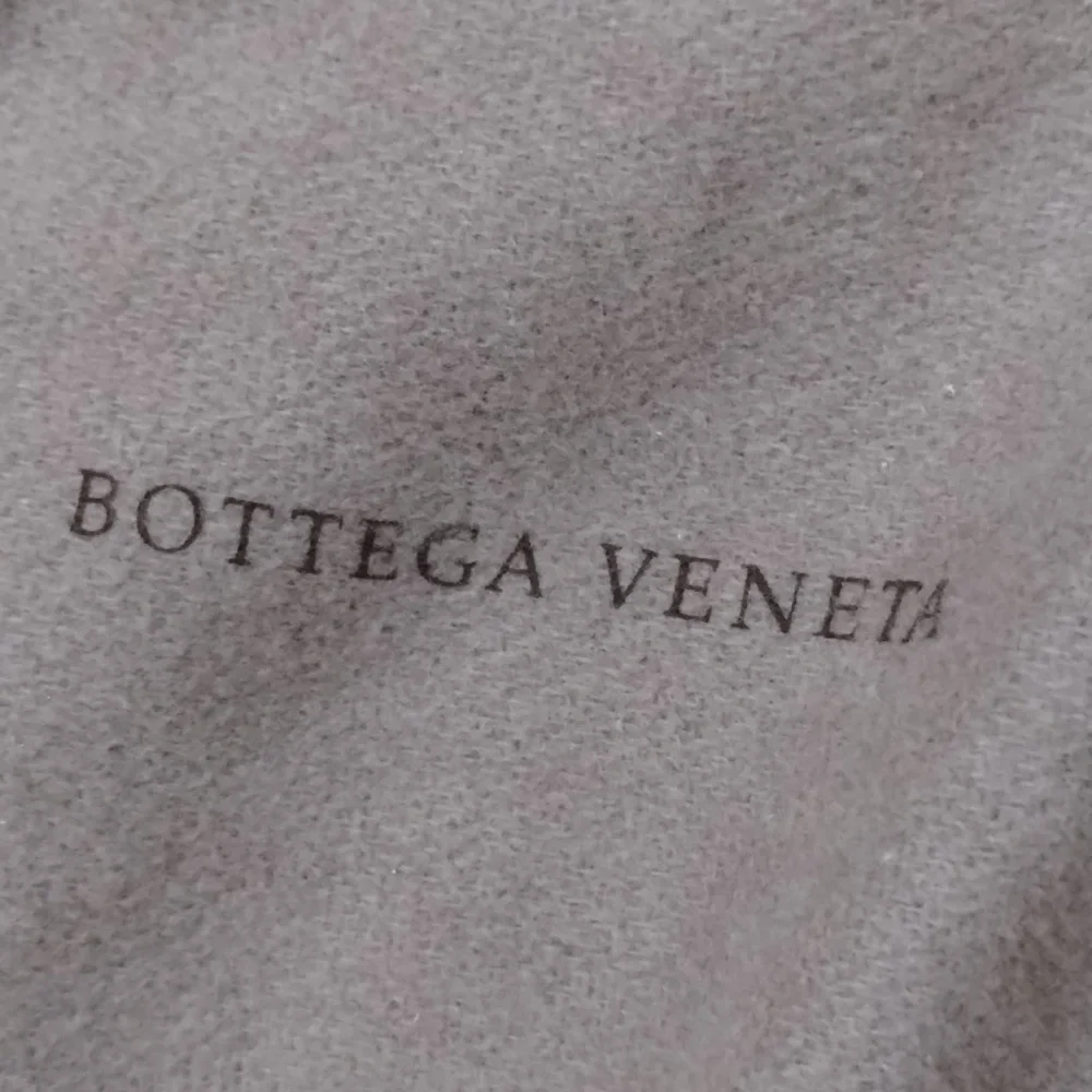 Bottega Veneta iPhone 10/XS Emb Snakeskin leather cover & Dust Cloth Nwot